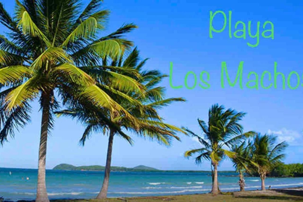 Ocean & Mountains View, Marina, Ferry, Vista Mar, Costa Esmeralda Ceiba Exterior foto